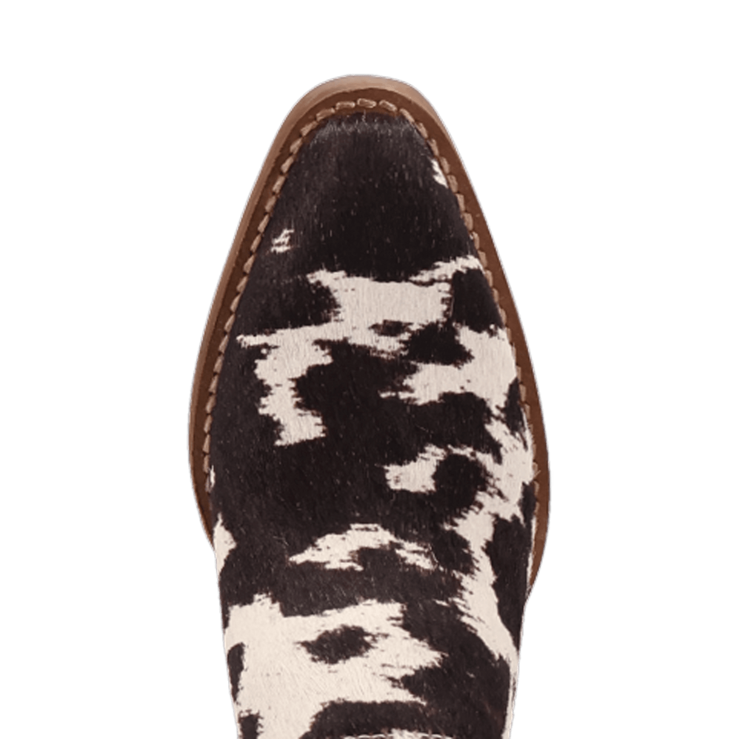 Dingo1969 CALICO MULE