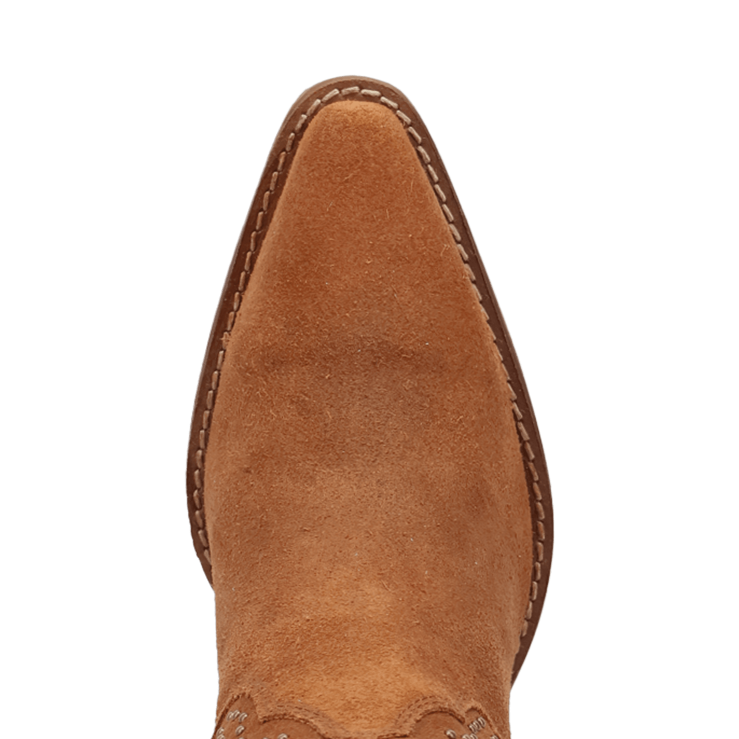 Dingo1969 STAR POWER SUEDE LEATHER BOOTIE