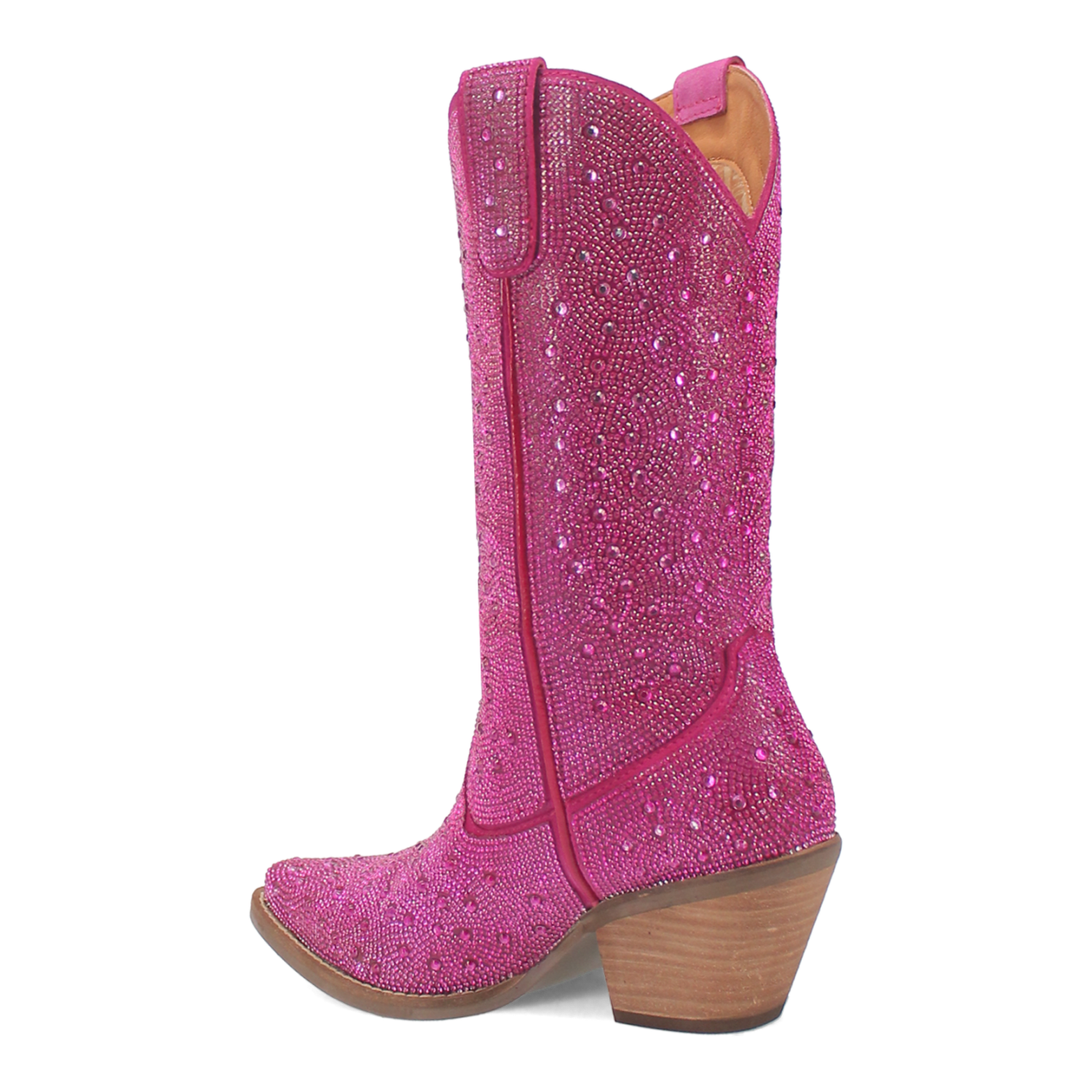 Dingo1969 SILVER DOLLAR LEATHER BOOT