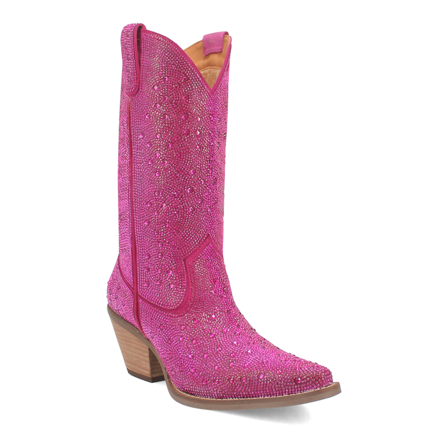 Dingo1969 SILVER DOLLAR LEATHER BOOT